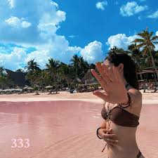 333 - Roni Loma